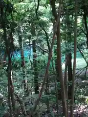 丸池神社の自然