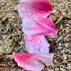 滑川神社 - 仕事と子どもの守り神の自然