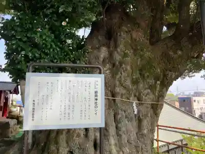 師岡神社の{uncategorized: "未分類", other: "その他", undefined: "問題あり", building: "その他建物", grave: "お墓", sacred_gate: "鳥居", guardian: "狛犬", statue: "像", buddha: "仏像", history: "歴史", nature: "自然", garden: "庭園", animal: "動物", pagoda: "塔", temizu: "手水舎", mountain_gate: "山門・神門", sanctuary: "本殿・本堂", subordinate: "末社・摂社", art: "芸術", scenery: "景色", jizo: "地蔵", ema: "絵馬", goshuin: "御朱印", omikuji: "おみくじ", items: "授与品その他", amulet: "お守り", goshuincho: "御朱印帳", eats: "食事", festival: "お祭り", votive_dance: "神楽", shichigosan: "七五三参", wedding: "結婚式", experience: "体験その他", initially: "初詣", around: "周辺", anti_infection: "感染症対策"}