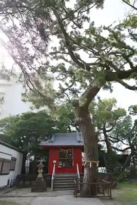 辨天神社(静岡県)