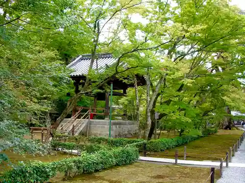 鹿苑寺（金閣寺）(京都府)
