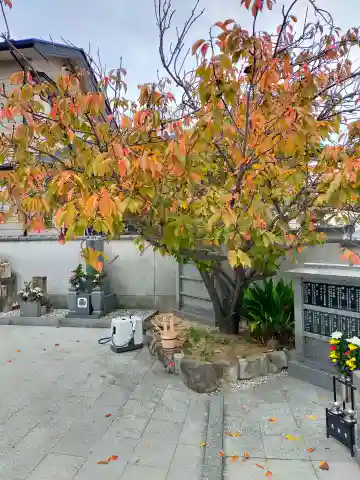 長楽寺(和歌山県)