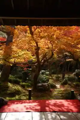 圓光寺(京都府)