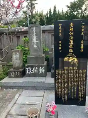 妙長寺(神奈川県)