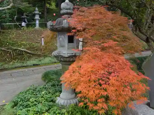 天台宗　長窪山　正覚寺の庭園