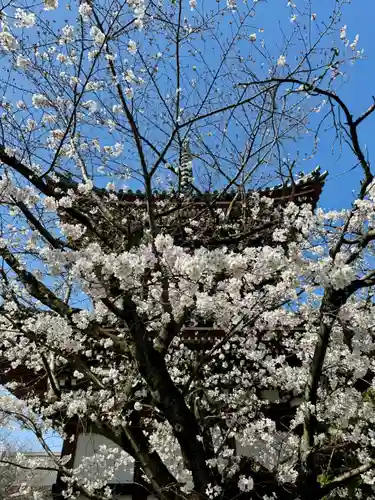 本法寺(京都府)