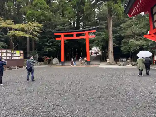 霧島神宮(鹿児島県)