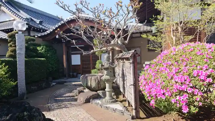 本光寺(静岡県)