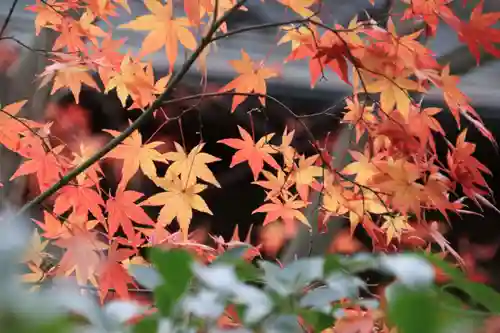 愛宕神社の庭園