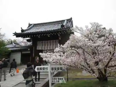 仁和寺の山門・神門