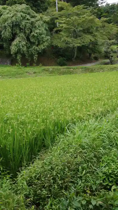 鹿島大神宮(福島県)