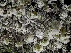 上地八幡宮(愛知県)