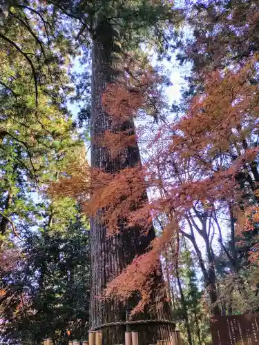 水澤寺(水澤観世音)(群馬県)