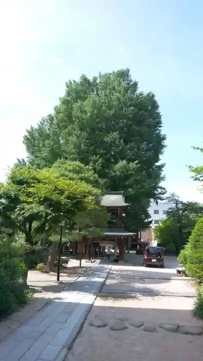 飛騨国分寺の景色