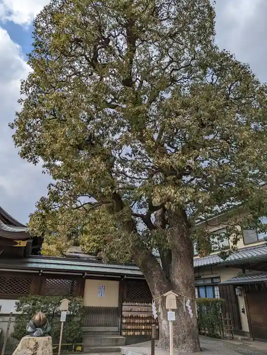 晴明神社(京都府)