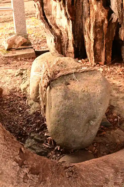 多祁御奈刀弥神社(徳島県)