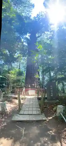 麻賀多神社の{uncategorized: "未分類", other: "その他", undefined: "問題あり", building: "その他建物", grave: "お墓", sacred_gate: "鳥居", guardian: "狛犬", statue: "像", buddha: "仏像", history: "歴史", nature: "自然", garden: "庭園", animal: "動物", pagoda: "塔", temizu: "手水舎", mountain_gate: "山門・神門", sanctuary: "本殿・本堂", subordinate: "末社・摂社", art: "芸術", scenery: "景色", jizo: "地蔵", ema: "絵馬", goshuin: "御朱印", omikuji: "おみくじ", items: "授与品その他", amulet: "お守り", goshuincho: "御朱印帳", eats: "食事", festival: "お祭り", votive_dance: "神楽", shichigosan: "七五三参", wedding: "結婚式", experience: "体験その他", initially: "初詣", around: "周辺", anti_infection: "感染症対策"}