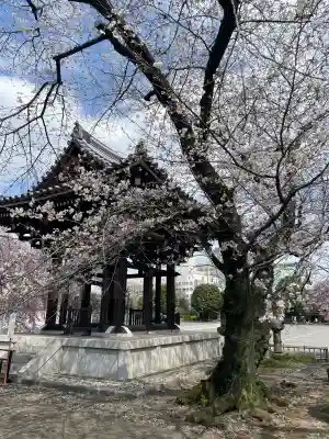 吉祥寺(東京都)