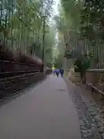 野宮神社(京都府)