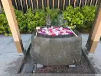 駒込妙義神社の{uncategorized: "未分類", other: "その他", undefined: "問題あり", building: "その他建物", grave: "お墓", sacred_gate: "鳥居", guardian: "狛犬", statue: "像", buddha: "仏像", history: "歴史", nature: "自然", garden: "庭園", animal: "動物", pagoda: "塔", temizu: "手水舎", mountain_gate: "山門・神門", sanctuary: "本殿・本堂", subordinate: "末社・摂社", art: "芸術", scenery: "景色", jizo: "地蔵", ema: "絵馬", goshuin: "御朱印", omikuji: "おみくじ", items: "授与品その他", amulet: "お守り", goshuincho: "御朱印帳", eats: "食事", festival: "お祭り", votive_dance: "神楽", shichigosan: "七五三参", wedding: "結婚式", experience: "体験その他", initially: "初詣", around: "周辺", anti_infection: "感染症対策"}