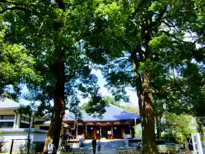 弘法寺の本殿・本堂