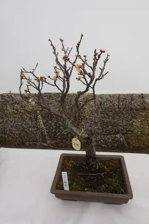 菅原天満宮(菅原神社)のその他建物