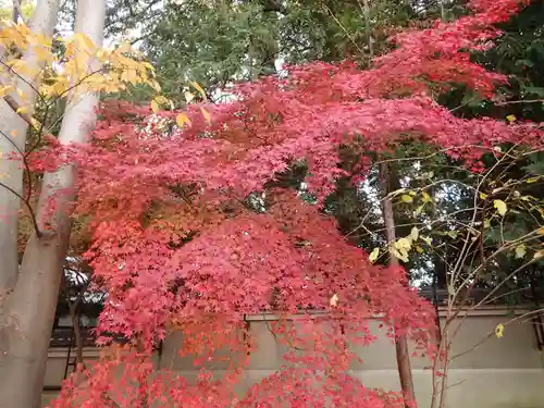 河俣神社の景色