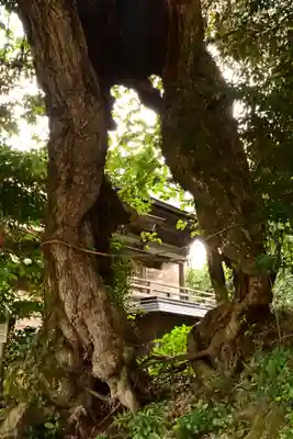 佐比賣山神社(島根県)