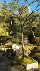 今熊野観音寺の庭園