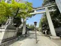 秩父神社の鳥居