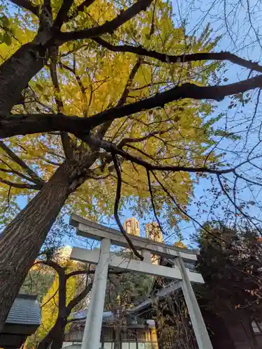 熊野神社の鳥居