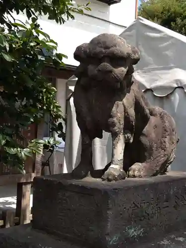 菖蒲神社の狛犬