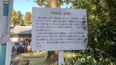 大神神社(栃木県)