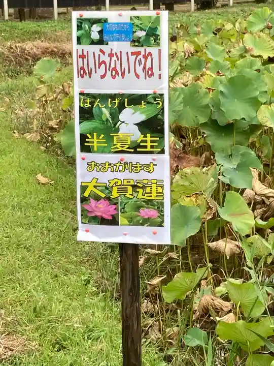 結縁寺(千葉県)