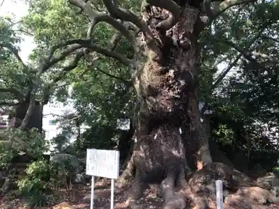 西光寺のその他建物