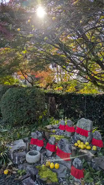 三鈷寺(京都府)