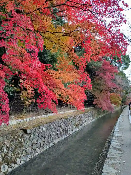霊鑑寺門跡(京都府)