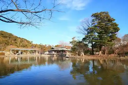 鶴岡八幡宮の自然