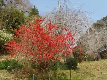 称安寺(愛知県)