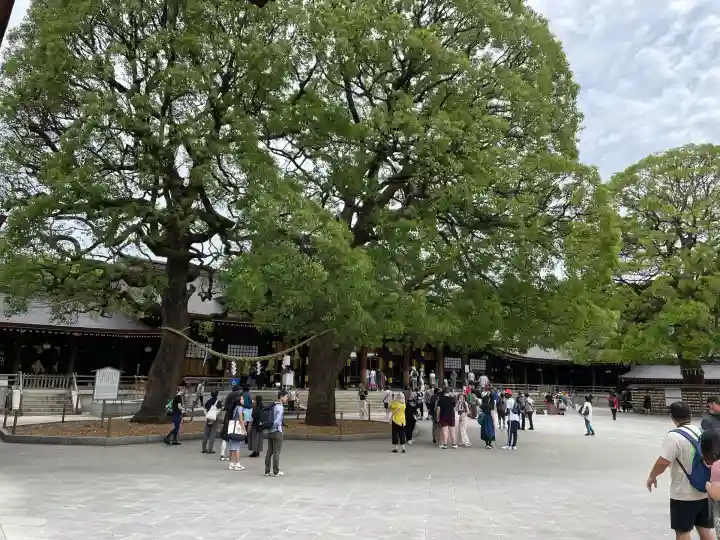 明治神宮(東京都)