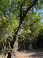 劔神社(神奈川県)