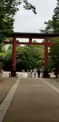 武蔵一宮氷川神社の鳥居