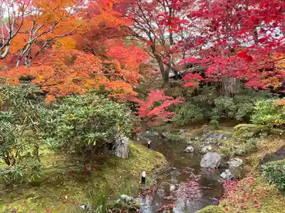 宝厳院(京都府)