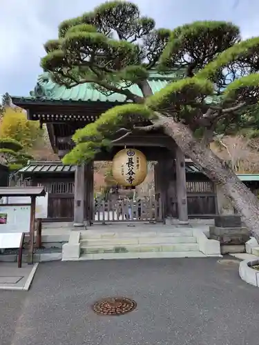 長谷寺の山門・神門