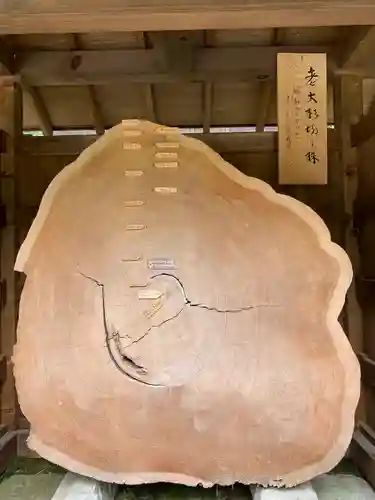 雲巌寺の建物その他