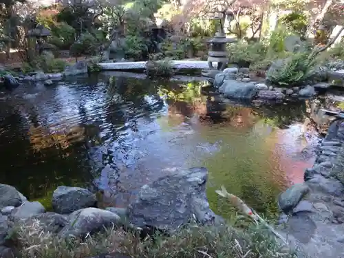 感通寺の庭園