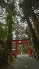 箱根神社の鳥居