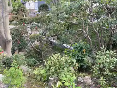 遍照寺(京都府)