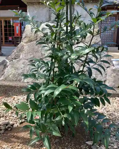 總社 和田八幡宮の庭園