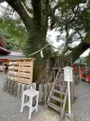 熊野那智大社(和歌山県)